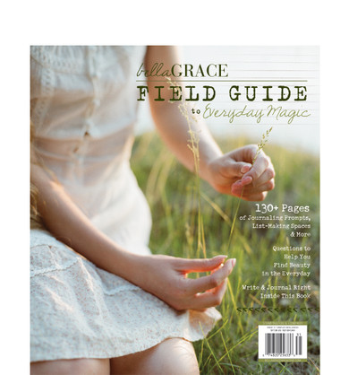 Field Guide to Everyday Magic Issue 11