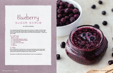 Willow and Sage Spring 2023 Instant Download