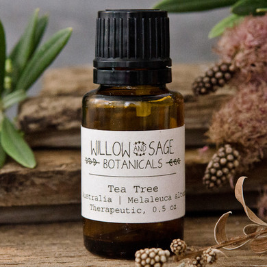 Tea Tree Essential Oil by Willow and Sage Botanicals, 0.5 oz.