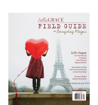 Field Guide to Everyday Magic Issue 9