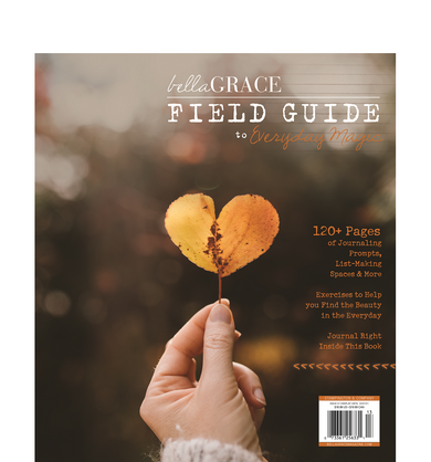 Field Guide to Everyday Magic Issue 8